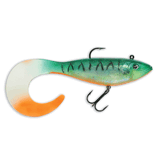 Storm Seeker Shad